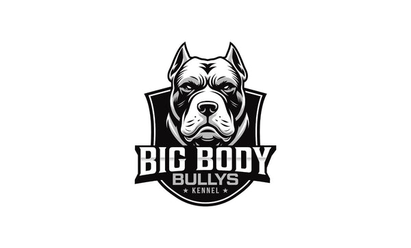 Big Body Bullys